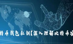 什么是比特币钱包私钥？
