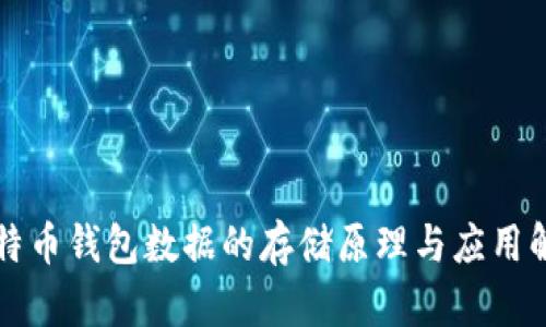 比特币钱包数据的存储原理与应用解析