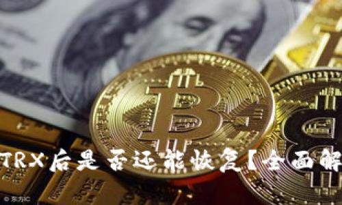 使用钱包转账TRX后是否还能恢复？全面解析与实用建议