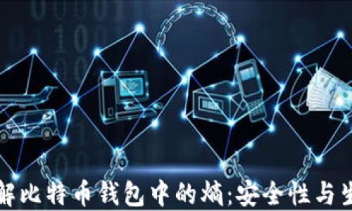 
深入了解比特币钱包中的熵：安全性与生成机制
