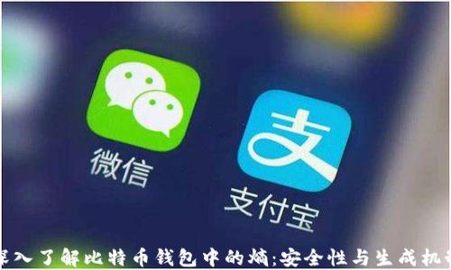 
深入了解比特币钱包中的熵：安全性与生成机制