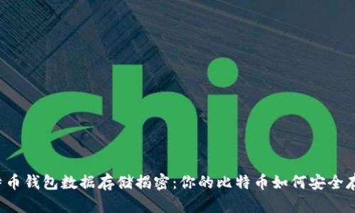 比特币钱包数据存储揭密：你的比特币如何安全存放？