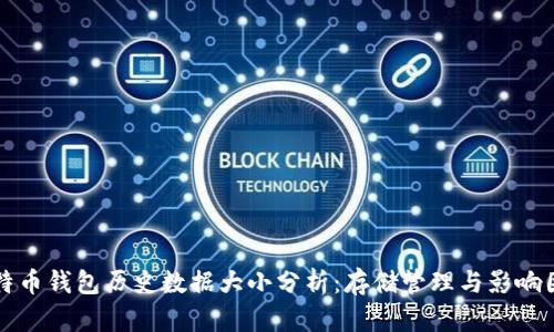 比特币钱包历史数据大小分析：存储管理与影响因素