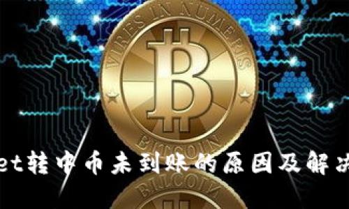 : TPWallet转中币未到账的原因及解决方案详解