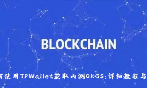 :如何使用TPWallet获取内测OKGS：详细教程与技巧