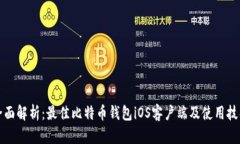 全面解析：最佳比特币钱