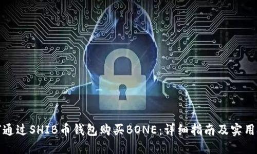 如何通过SHIB币钱包购买BONE：详细指南及实用技巧