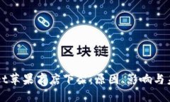 TPWallet苹果商店下架：原因
