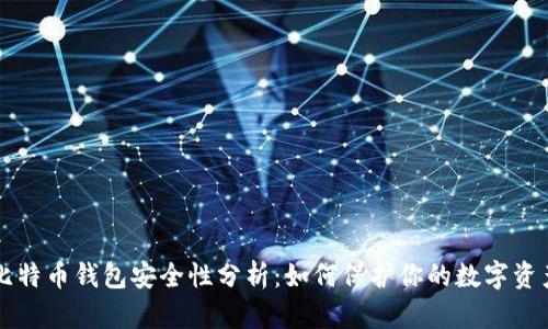 比特币钱包安全性分析：如何保护你的数字资产