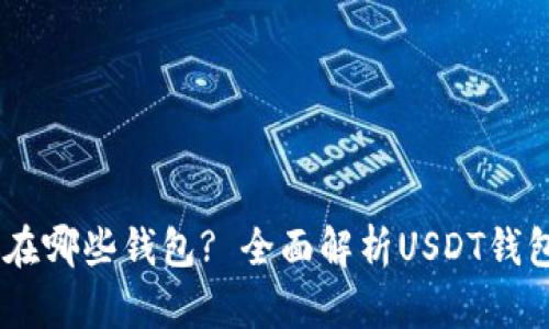 USDT可以存放在哪些钱包? 全面解析USDT钱包选择与安全性
