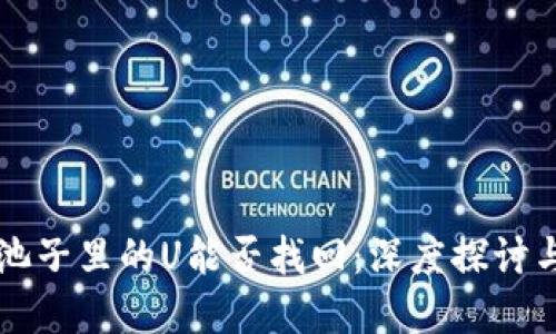 TPWallet池子里的U能否找回：深度探讨与解决方案