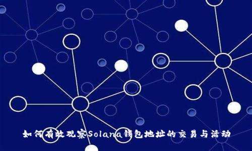 如何有效观察Solana钱包地址的交易与活动
