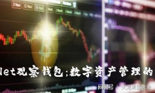 TPWallet观察钱包：数字资产管理的新选择