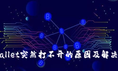 TPWallet突然打不开的原因及解决方案