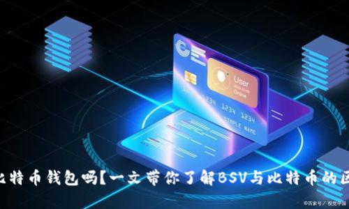 BSV币能存入比特币钱包吗？一文带你了解BSV与比特币的区别与钱包选择