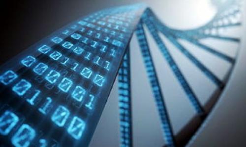 屎币（Shitcoin）通常是指那些没有实际价值或应用的加密货币，虽然这些币种的名称可能会吸引一些投资者和关注者。它并不特指某一个特定的生态钱包，因为“屎币”是一种贬义词，通常用来形容那些投机性、缺乏实质内容的币种。由于市场上有大量此次类型的加密货币，它们可能会在多个区块链平台上流通。

对于所提到的“生态钱包”，可以指的是一些支持多种加密货币的数字钱包，这些钱包通常能够储存和管理各种币种。具体是哪种生态钱包，视屎币所运行的区块链而定。 

以下是一些常见的生态钱包，可能会支持多种类型的币种：

1. **Trust Wallet**：一种去中心化的钱包，可支持多种区块链货币，包括ERC-20和BEP-20代币。
2. **MetaMask**：一个以太坊和ERC-20代币的数字钱包，广泛用于去中心化应用（DApps）。
3. **Exodus**：一个多币种钱包，支持多种数字货币，用户界面友好。
4. **Coinomi**：支持多种区块链和加密资产的数字钱包，具有良好的用户体验。

如果你有特定的屎币想要了解它属于哪个生态钱包，建议查看该币的官方网站或白皮书，通常会列出推荐的存储方式和支持的钱包。