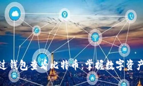 如何通过钱包查看比特币：掌握数字资产的钥匙