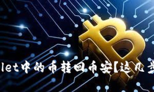 如何将TPWallet中的币转回币安？这几步你值得拥有！