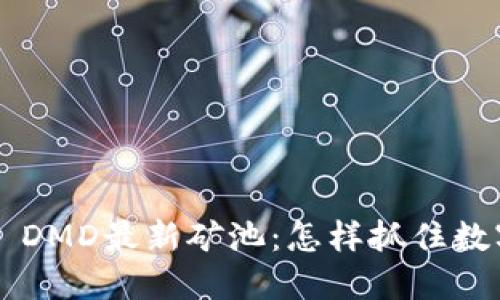 探索TPWallet DMD最新矿池：怎样抓住数字资产的潮流？