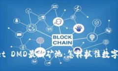 探索TPWallet DMD最新矿池：怎样抓住数字资产的潮