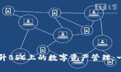 如何利用TPWallet提升BSC上的数字资产管理：一场区