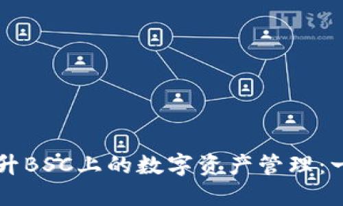 如何利用TPWallet提升BSC上的数字资产管理：一场区块链的探险之旅