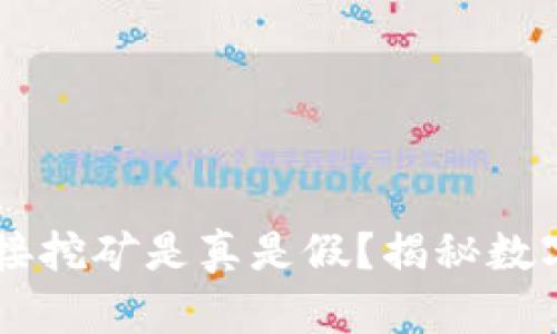 TPWallet上的链接挖矿是真是假？揭秘数字货币投资的真相