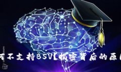 TPWallet为何不支持BSV？揭密背后的原因与市场动态