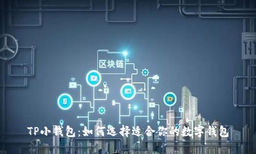 TP小钱包：如何选择适合你的数字钱包