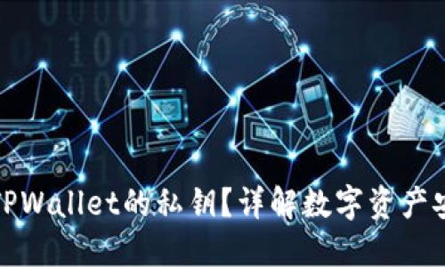 什么是TPWallet的私钥？详解数字资产安全管理