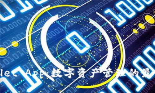 TPWallet App：数字资产管理的最佳选择