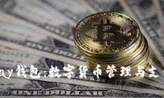 全面解析Topay钱包：数字货币管理与支付的理想选