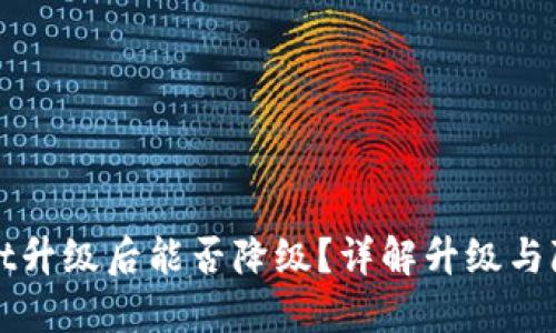 TPWallet升级后能否降级？详解升级与降级过程