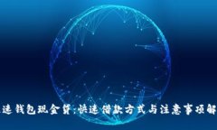 极速钱包现金贷：快速借款方式与注意事项解析