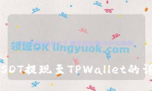  币安USDT提现至TPWallet的详细攻略