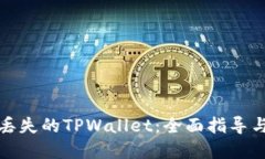 如何找回丢失的TPWallet：全面指导与解决方案