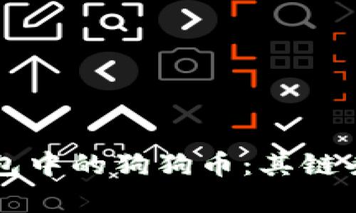 深入探讨火币钱包中的狗狗币：其链条及生态系统解析